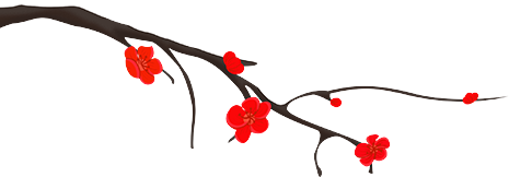 1708935747.png 81327fe5a2b9b66c103dedf770c990dd.png