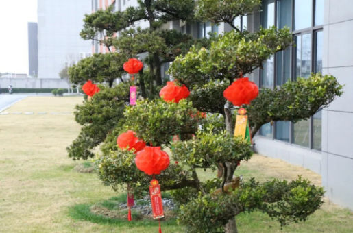 1708935895.png image.png